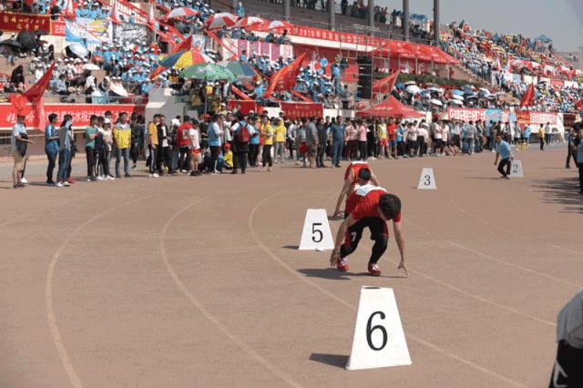 运动会秩序册,四川省第十三届田径运动会秩序册