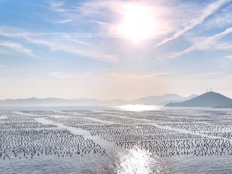 江浙沪适合发呆喝茶的民宿,冬天江浙沪2-3天短途旅游民宿