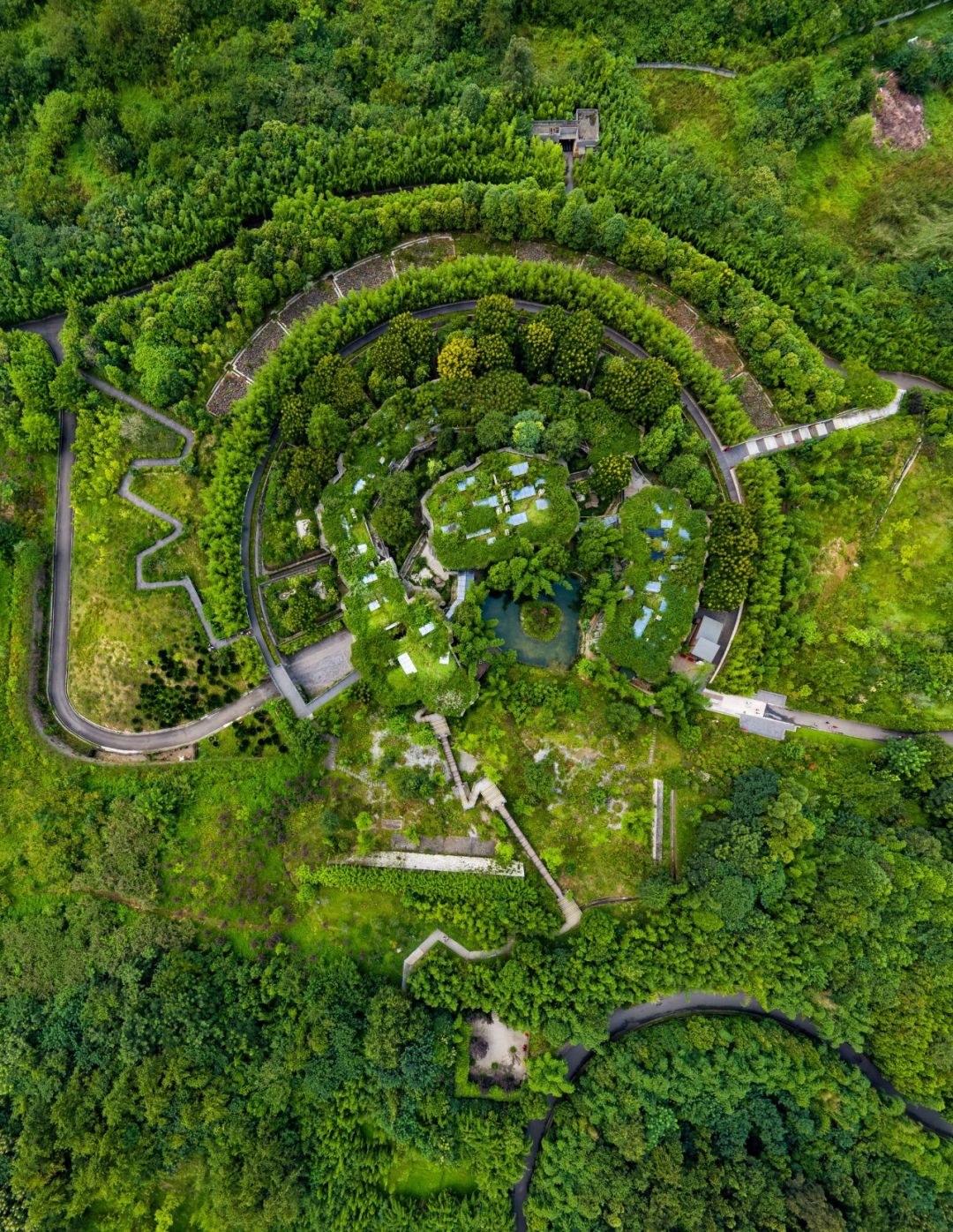 熊猫萌,熊猫萌啦