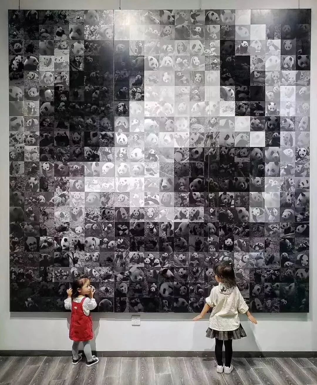 熊猫萌,熊猫萌啦