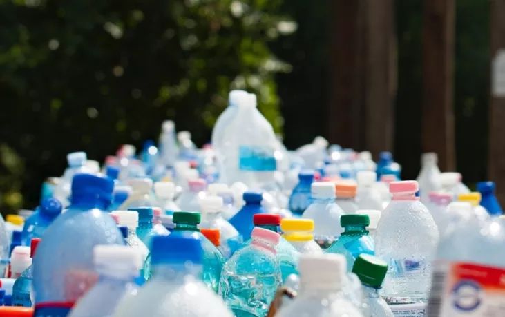 塑化剂带来的生殖毒性,人类摄入塑化剂会促使什么分泌