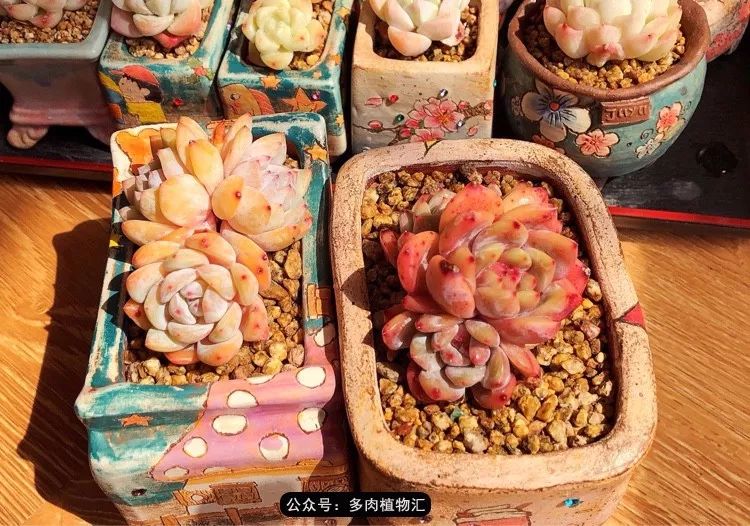 冰玉怎么盘透,怎么盘玉珠