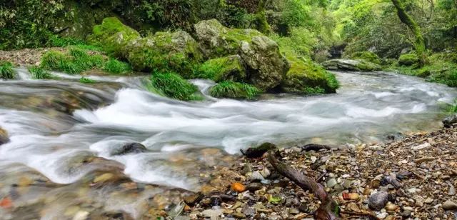 【五一·爽心游江西】婺源最全旅游攻略已为您备好，快来婺源“嗨”翻天！