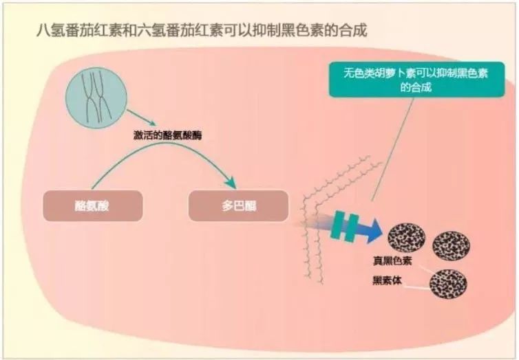 坚持7天的细纹消失,没有细纹但是有斑点