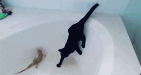 丁丁里塞进了70颗*珠钢**！家长们都该了解一下“儿童*慰自**”……