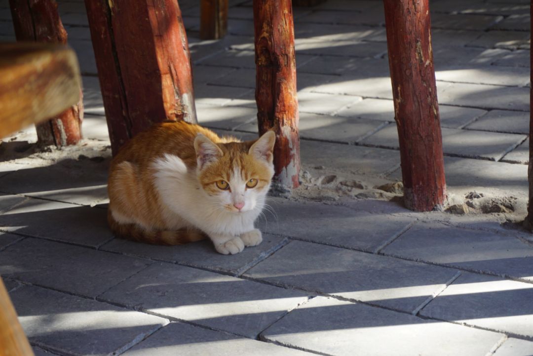 陕西与世隔绝的温泉民宿,西安附近最美的山间民宿