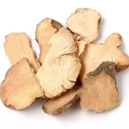 【有肾说甚】第8期｜大量饮水可缩短痛风发作时间……原来还有这些方法可治疗高尿酸血症