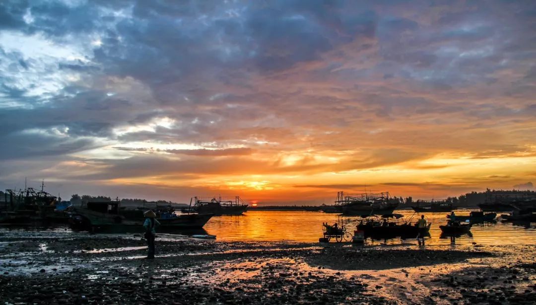 防城港鱼虾蟹,防城港吃鱼虾蟹