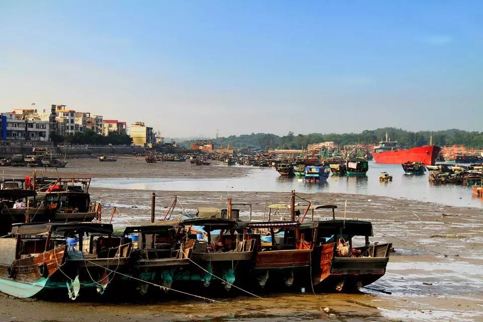 防城港鱼虾蟹,防城港吃鱼虾蟹