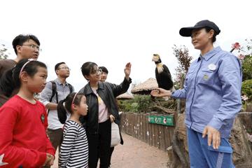 上海野生动物园游览攻略,上海野生动物园的旅游路线示意图