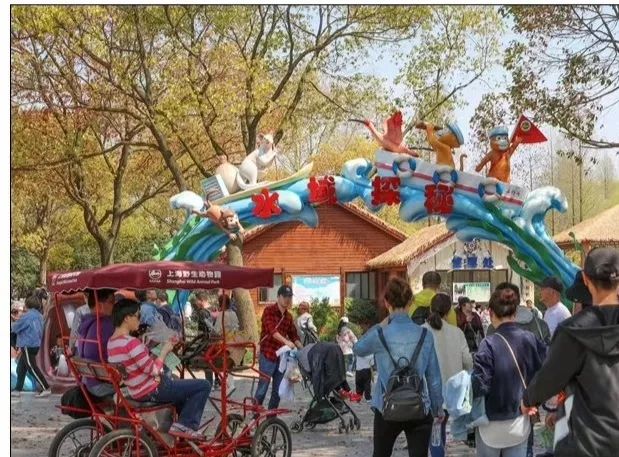 上海野生动物园游览攻略,上海野生动物园的旅游路线示意图