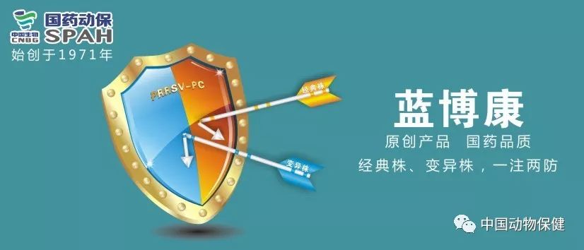 猫咪霍纳氏综合征,犬中毒引起霍纳氏综合症