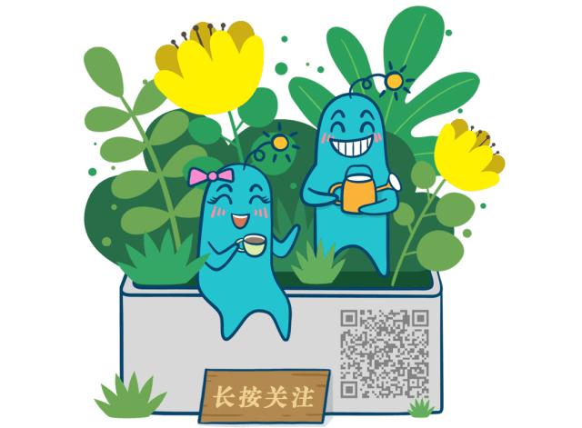 比较值得关注的几个公众号,几个受欢迎公众号值得收藏