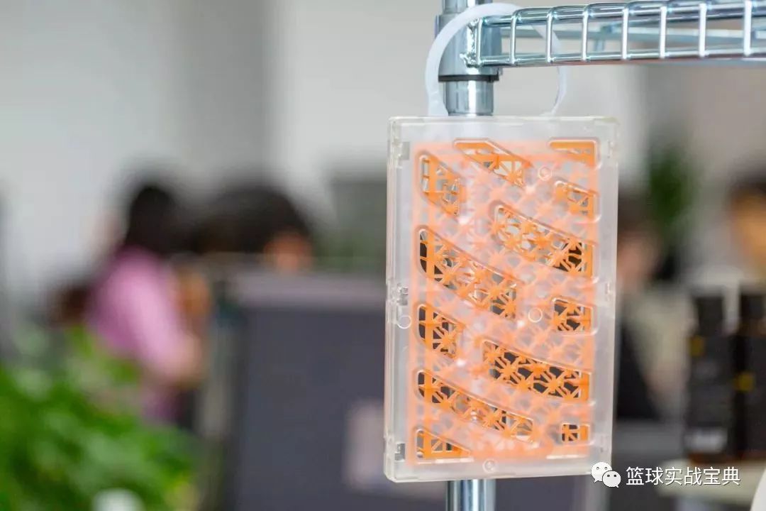 日本黑科技隐形蚊帐随手一挂,最新黑科技蚊帐