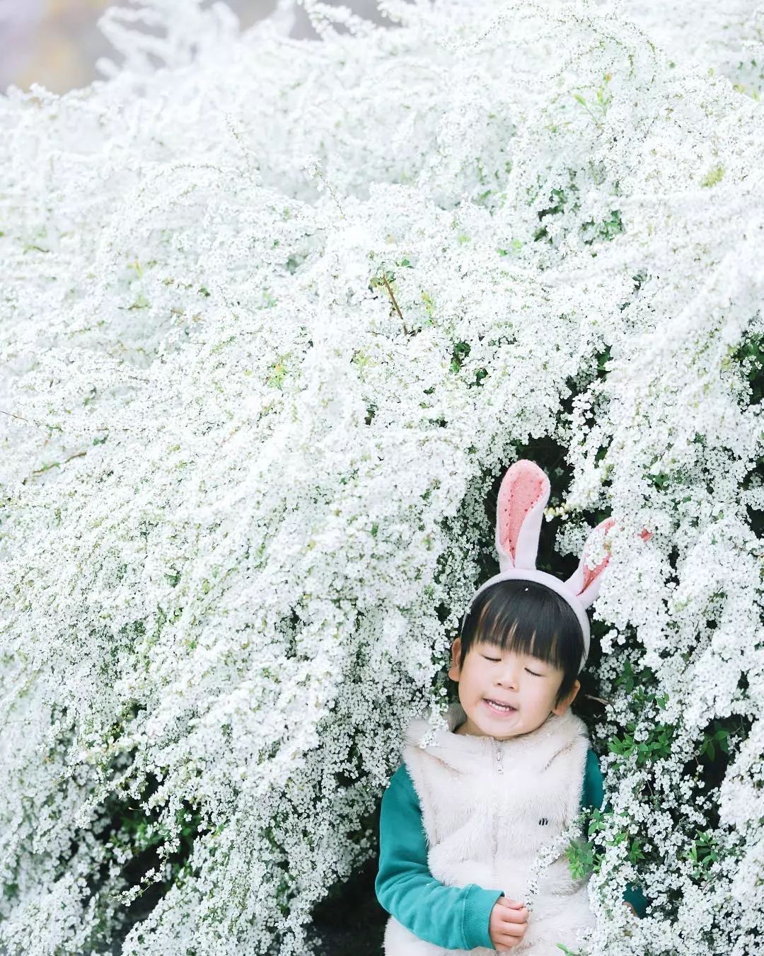 日本爸爸把男孩子拍出宫崎骏 (日本老爸把女儿拍到宫崎骏)