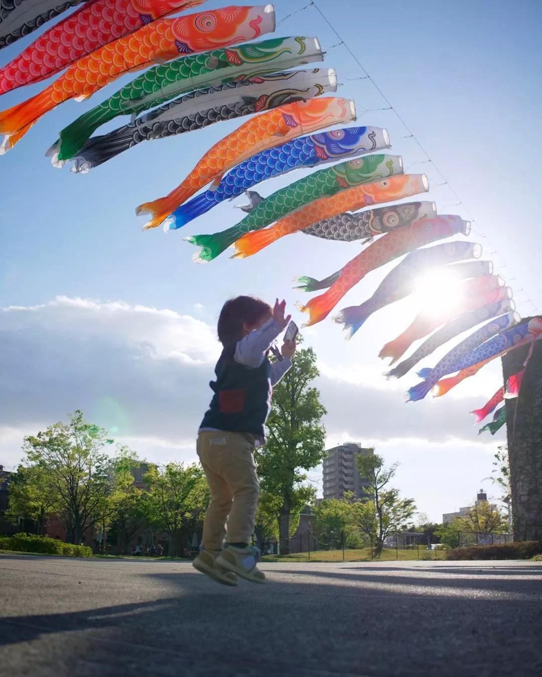 日本爸爸把男孩子拍出宫崎骏 (日本老爸把女儿拍到宫崎骏)