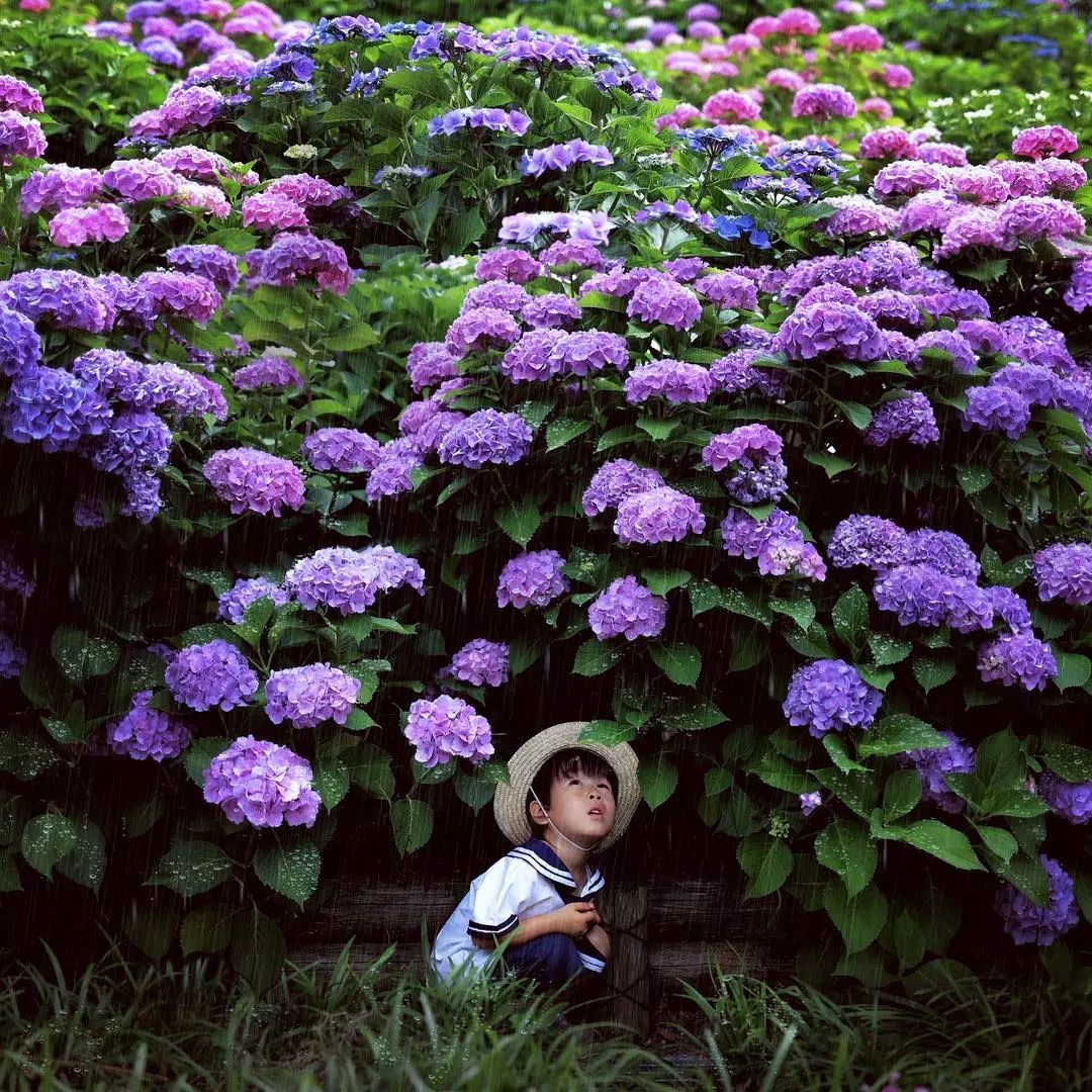 日本爸爸把男孩子拍出宫崎骏 (日本老爸把女儿拍到宫崎骏)