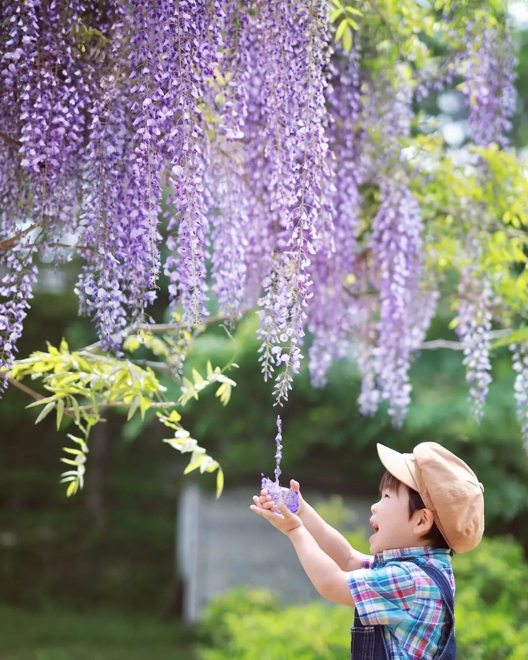 日本爸爸把男孩子拍出宫崎骏 (日本老爸把女儿拍到宫崎骏)