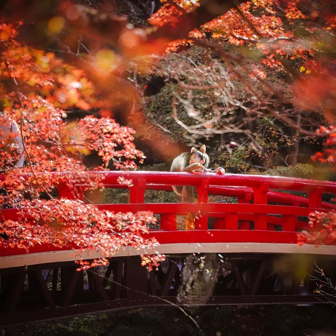 日本爸爸把男孩子拍出宫崎骏 (日本老爸把女儿拍到宫崎骏)