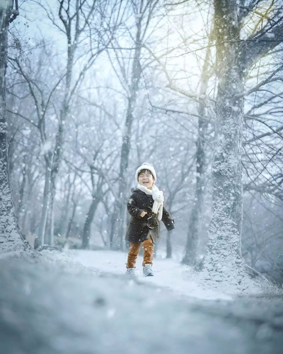 日本爸爸把男孩子拍出宫崎骏 (日本老爸把女儿拍到宫崎骏)