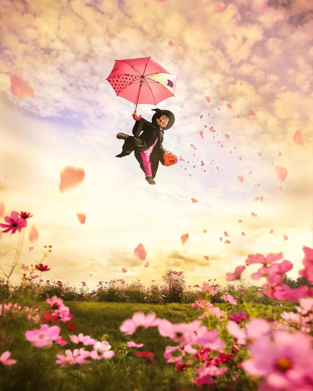 日本爸爸把男孩子拍出宫崎骏 (日本老爸把女儿拍到宫崎骏)