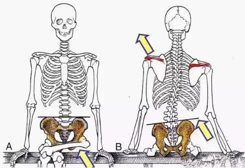 三十岁了腰就废了怎么办,28岁腰已经废了怎么办