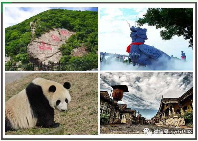 五一出游去鸟岛怎么预约,世博园鸟岛一日游