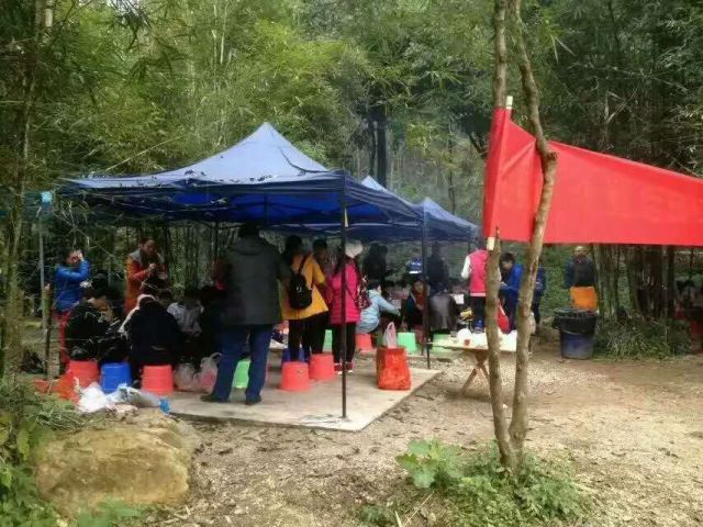 柳州赏花一日游最佳去处,赏花一日游最佳去处柳州