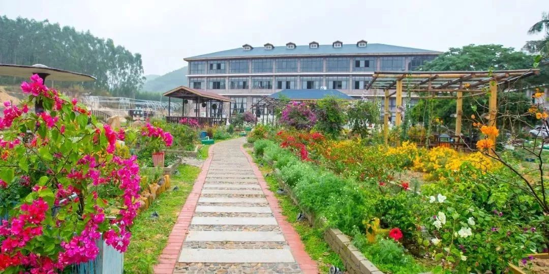 云霄春节旅游攻略,云霄县国庆旅游攻略