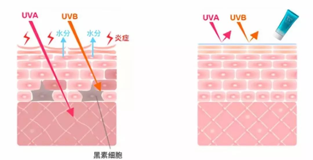 一百多好用的防晒推荐,无限回购的防晒好物推荐