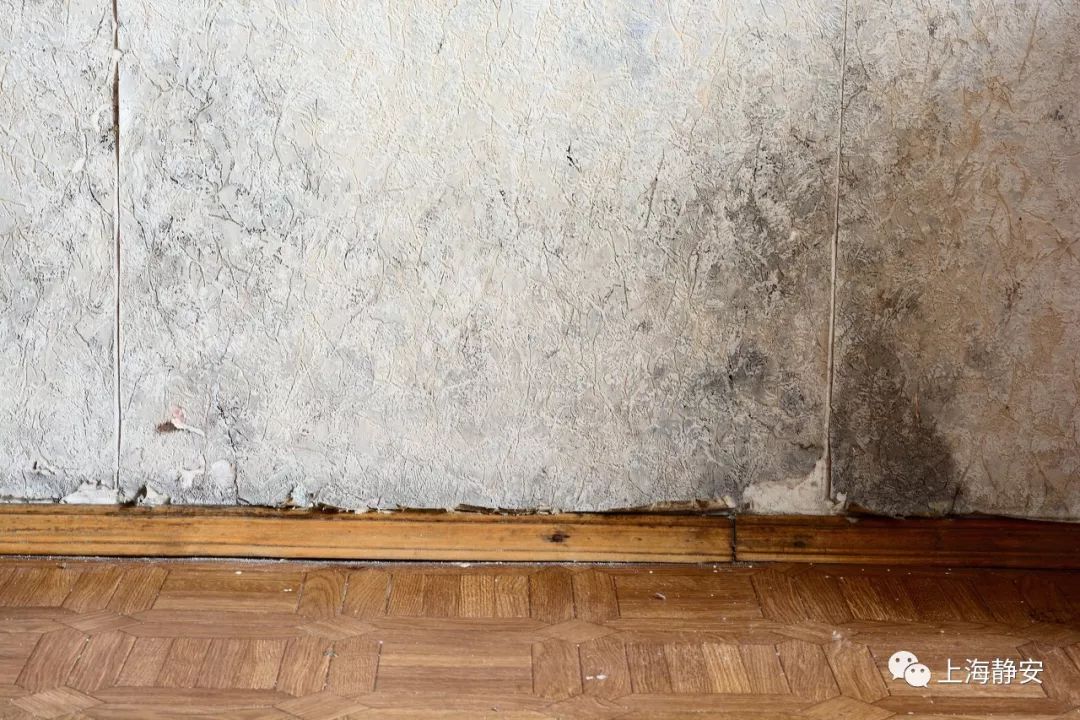 家里墙壁发霉怎么根除,发霉的墙壁怎么去除霉斑