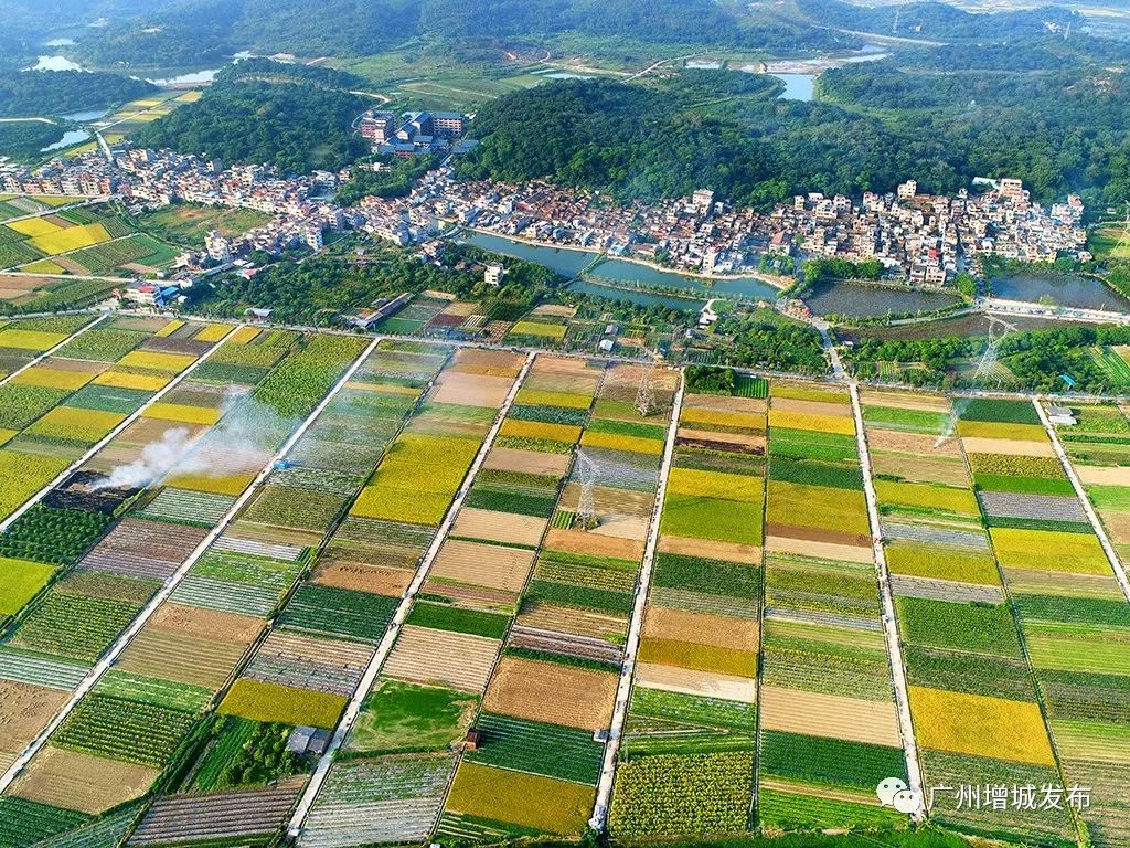 广州市增城区乡村风景图片,增城美丽乡村图