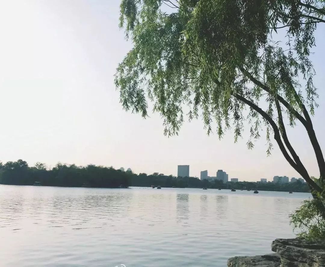 城事丨天津竟然有这么多免费公园可逛，趁假期最后一天赶紧去逛逛吧！