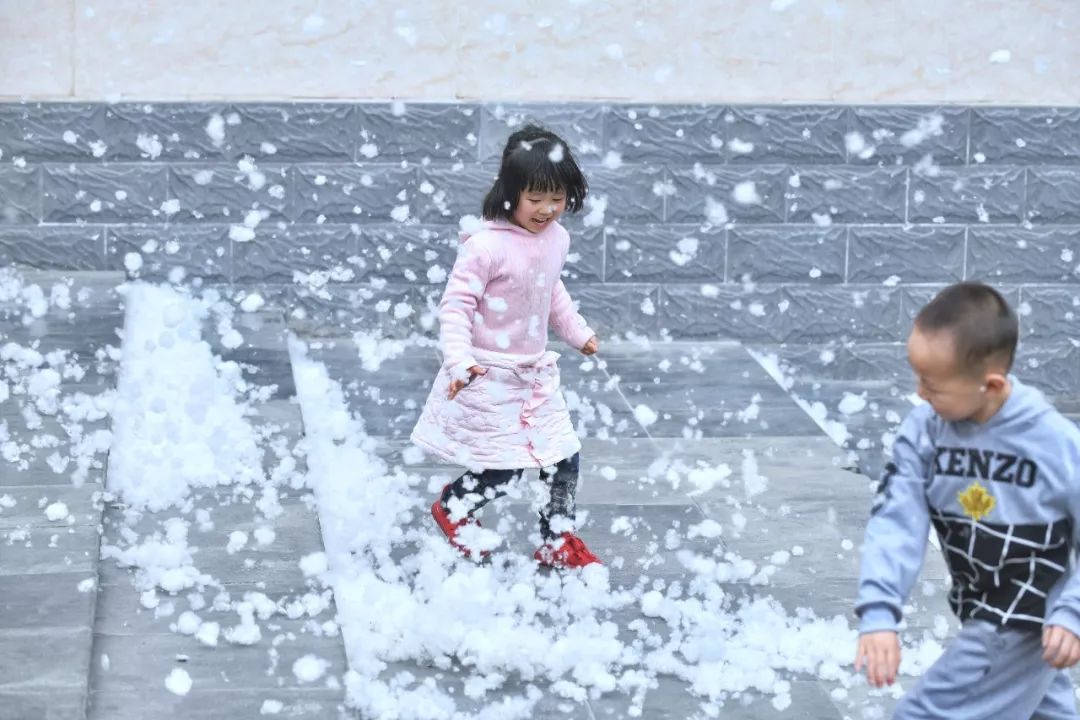 又到了和飞絮缠斗的季节