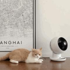 喉咙干痒头晕乏力,喉咙干痒头晕是怎么了