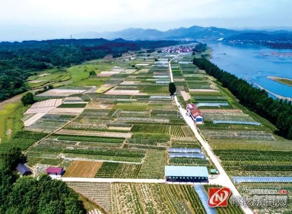 变输血为造血提升脱贫战斗力怀化市大力发展产业扶贫为脱贫攻坚注入源头活水