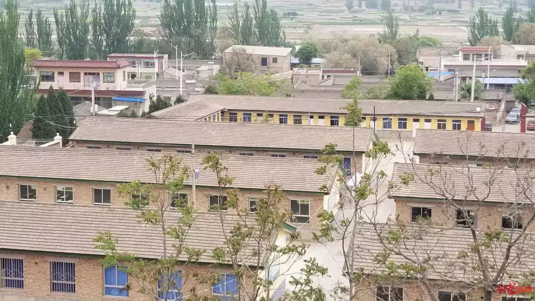 后脑勺头盖骨被打碎，*体下**肿成两个拳头大！14岁少年竟被同学活活打死了