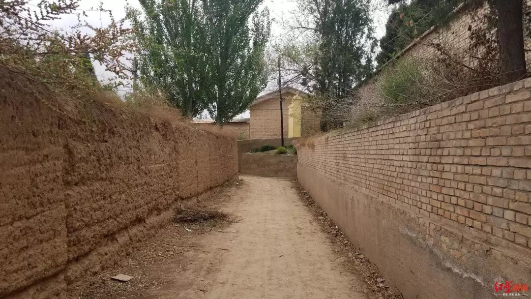 后脑勺头盖骨被打碎，*体下**肿成两个拳头大！14岁少年竟被同学活活打死了