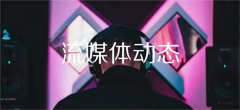音娱公司齐交Q1成绩单，多档音综锁定夏季