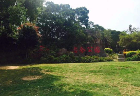 厦门人民公园最美风景照片,厦门集美杏林马銮湾环湾带状公园