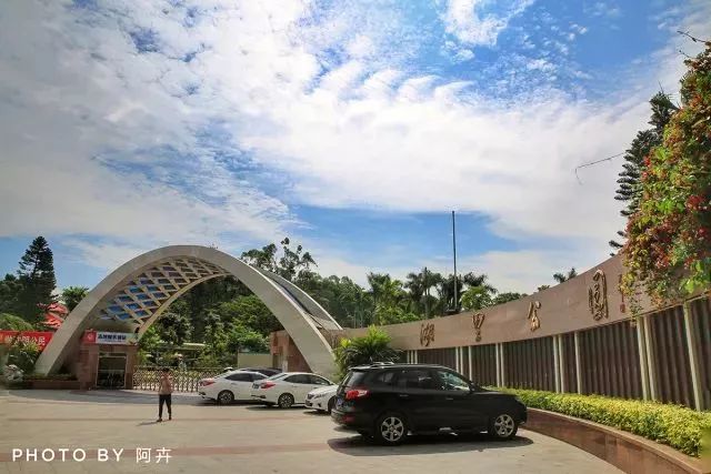 厦门人民公园最美风景照片,厦门集美杏林马銮湾环湾带状公园