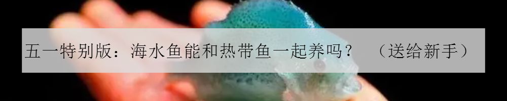 海马入缸几天喂食,海马怎么培植