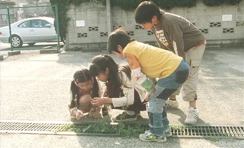 何以为家赞恩想要什么,何以为家赞恩