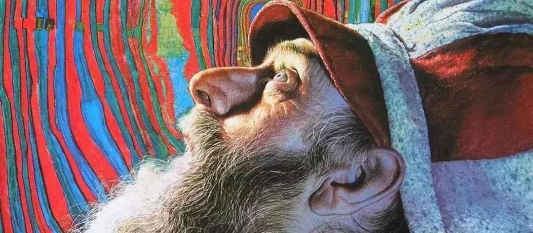 全世界最大垃圾处理厂,世界最先进的垃圾处理场