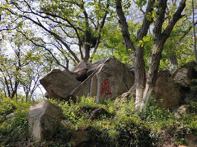 花果山和云龙涧哪个好玩,江苏连云港花果山和云龙涧推荐