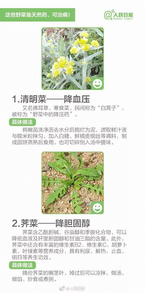 什么样芋头有毒不能吃,芋头吃了麻嘴有毒吗