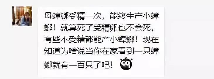 轻轻一喷快速消灭螨虫,车内蟑螂怎么消灭