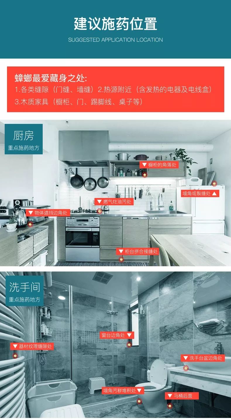 轻轻一喷快速消灭螨虫,车内蟑螂怎么消灭