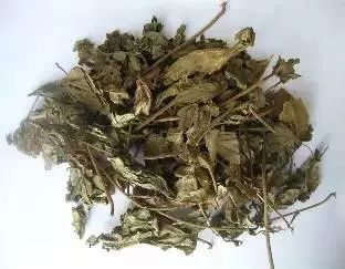 夏季祛湿茶汤,祛湿去肝火最好的汤水配方