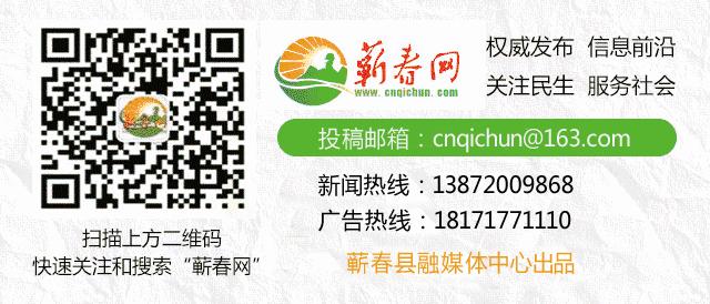 蕲春县到武汉高铁站客车时刻表,蕲春到武汉机场客运班车时间表